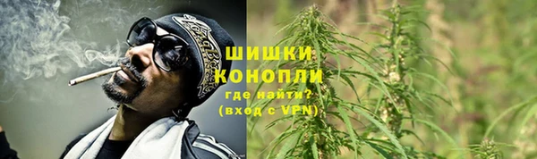 apvp Каменка