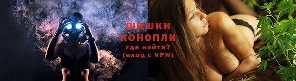 дживик Каменногорск