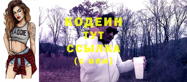 apvp Каменка