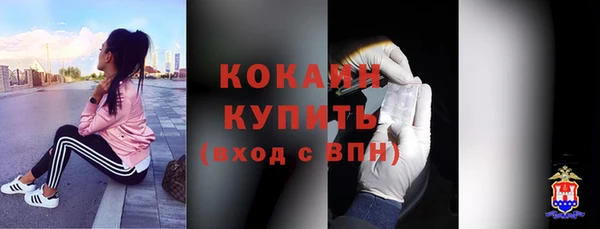 apvp Каменка
