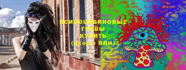 apvp Каменка