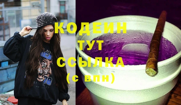 apvp Каменка