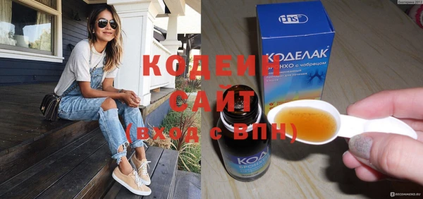 apvp Каменка
