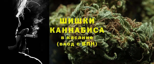 apvp Каменка