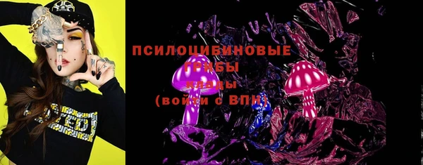 apvp Каменка