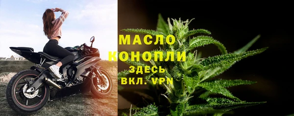 apvp Каменка