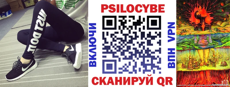 Купить закладки  Нижнекамск  Галлюциногенные грибы MAGIC MUSHROOMS 